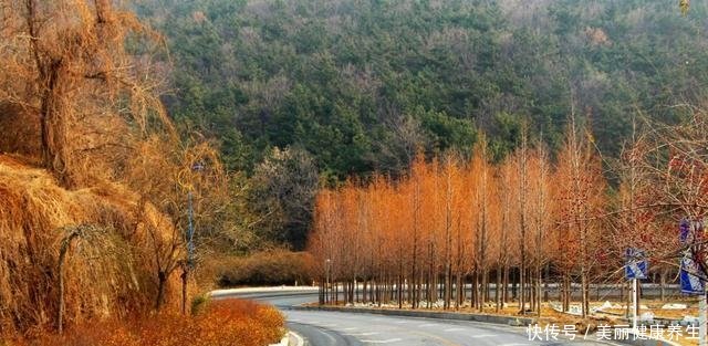  副省级市■中国3座最有可能升为直辖市的城市