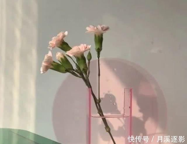  「cm」155小个子这么选春装，大家都以为我长高了10cm！