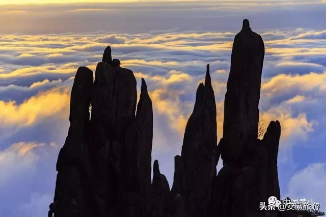 万物悄然复苏，黄山等你来游