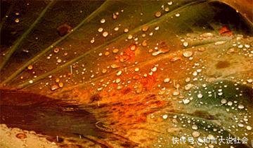 济南今晨有雷阵雨，局地8～9级雷暴大风！山东局地或降冰雹