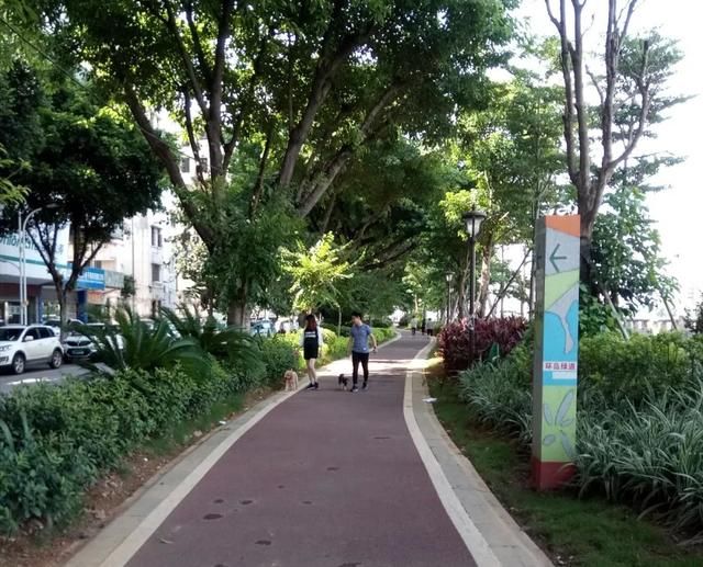 韶关花城社区恶狗咬人？不存在的，请停止转发谣言！