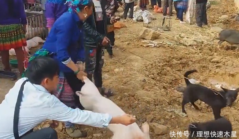 中国人到越南, 实拍越南农村赶集, 看看这里的环境怎么样