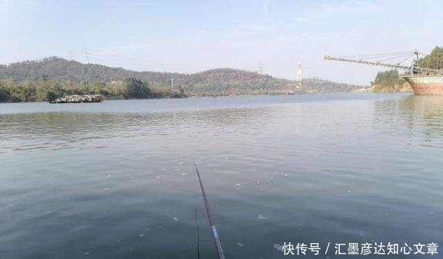 『小鱼虾闹窝』浮漂一直动在那动,但提竿确钓不上来鱼的真正原因,全都在这了