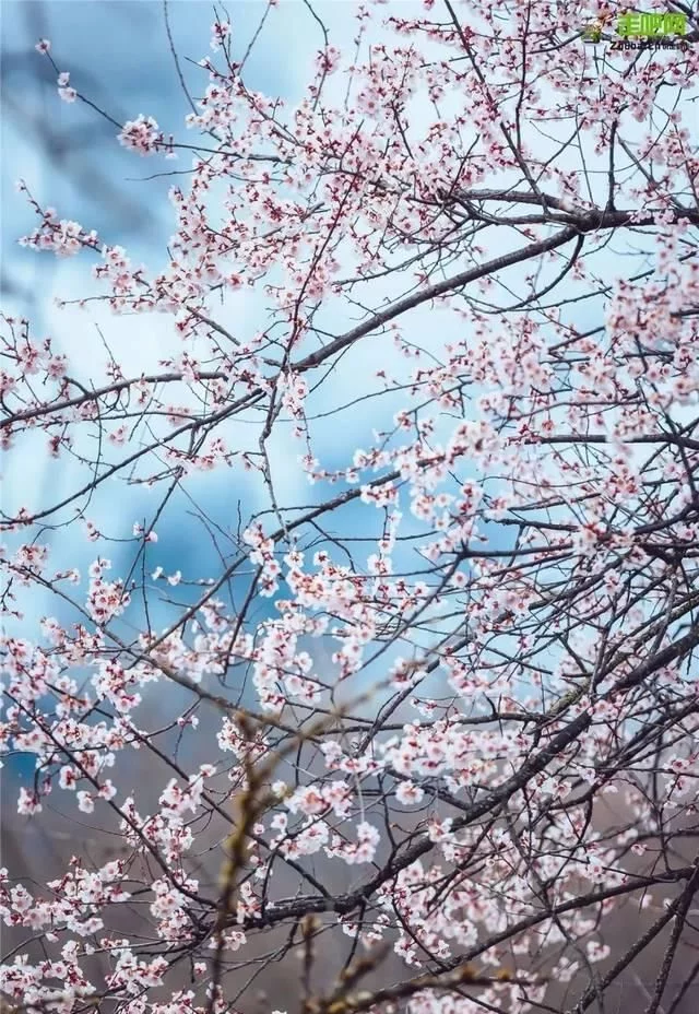 我想去以下这6个地方,因为真的很美【2020热门旅游景点】