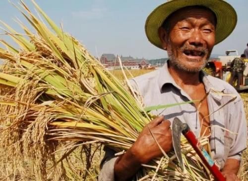  「将要」近期，这三个证件将要停止办理，农民可能损失几十万！