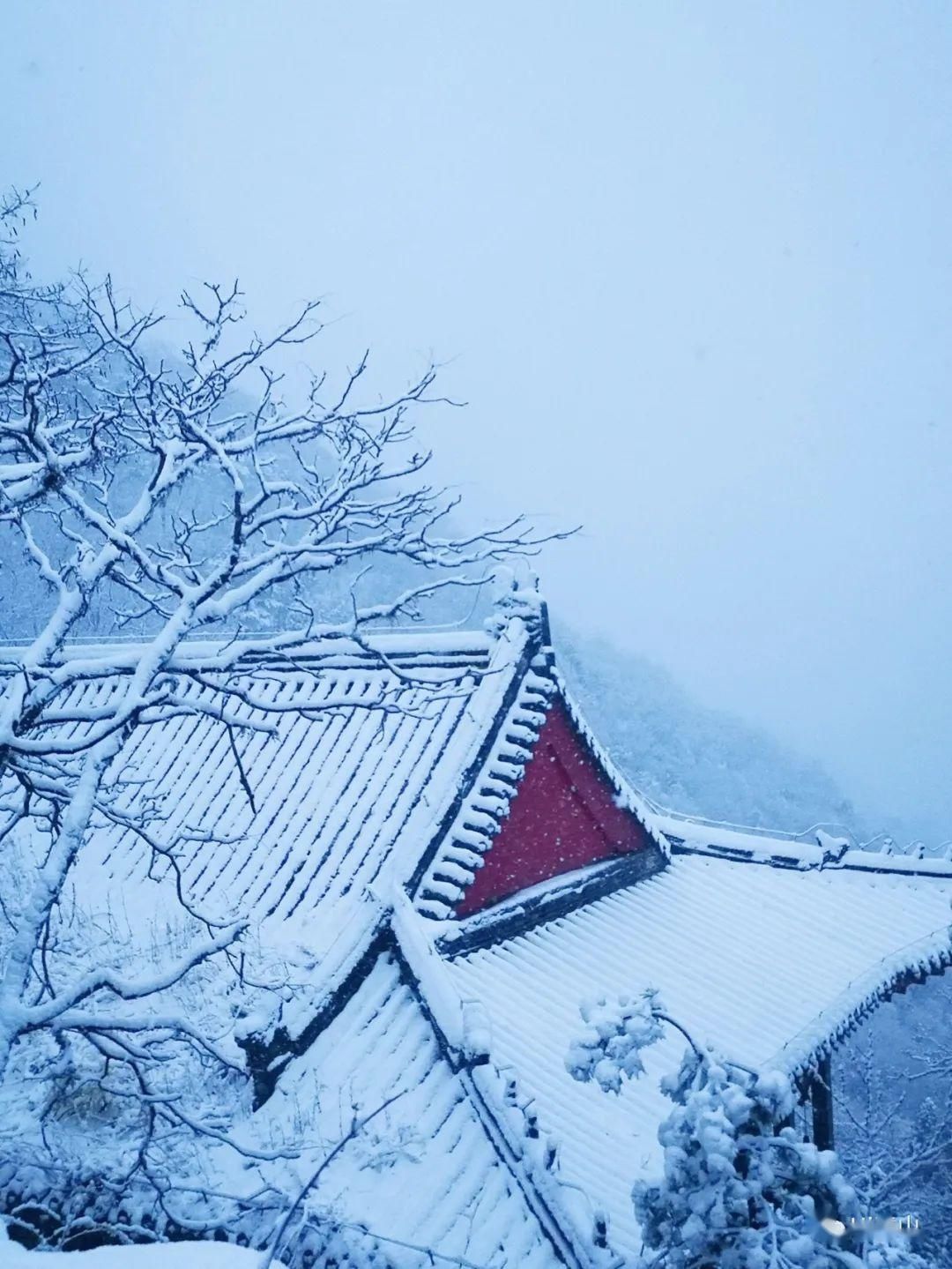  『岱宗』春雪空濛落岱宗，最美人间四月天