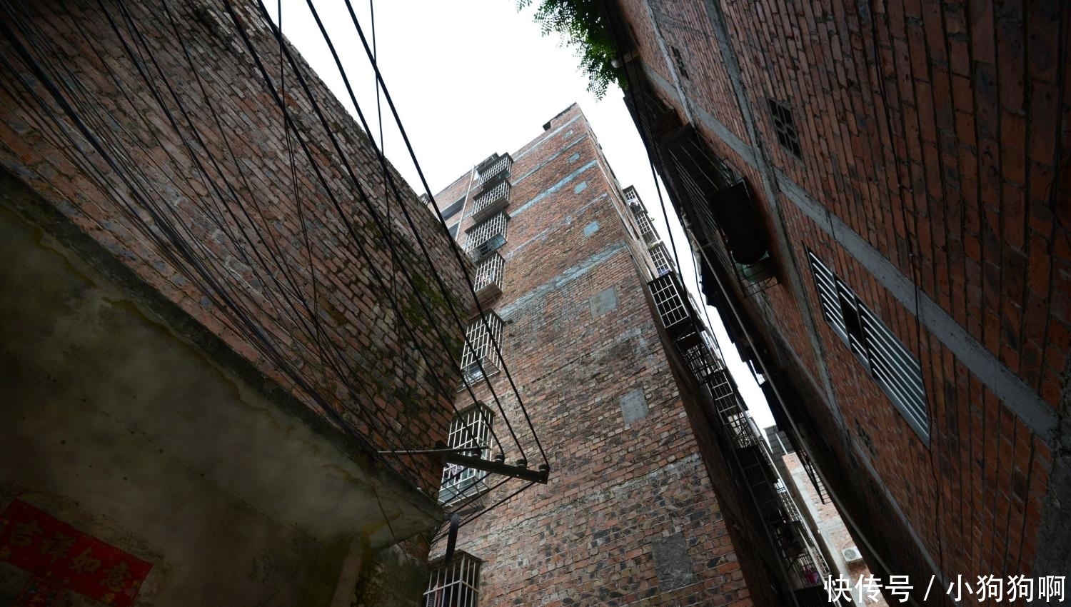 农民自建“夫妻楼”靠“吃房租”日进斗金一夜暴富成土豪