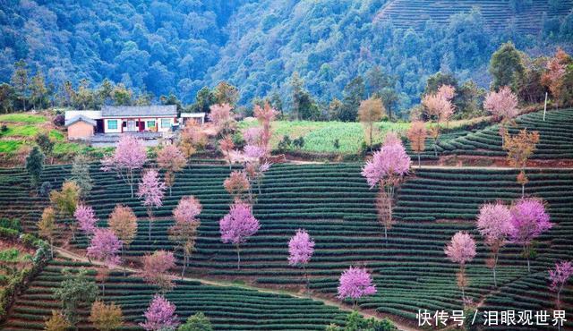 中国最“动听”省份，游客一听名字就“酥”了，风景个个都说好