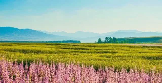 在新疆，有一种旅行，叫公路旅行