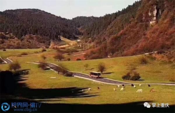 仙女山层林尽染 美景如画