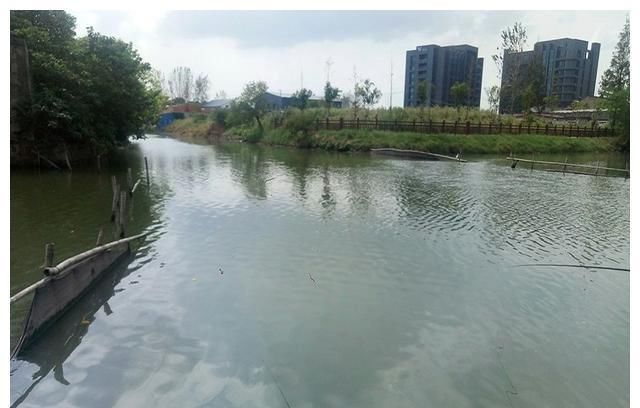  轻松：自然水域钓鱼，掌握这些天然“鱼窝”，连杆上鱼很轻松