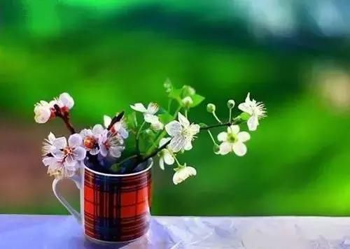 考到了教师资格证, 我离站上三尺讲台还有多远