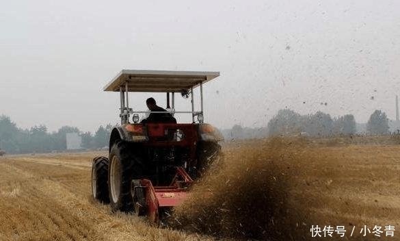  秸秆：秸秆还田让农田变质, 农民利益受损, 专家提的建议, 责任