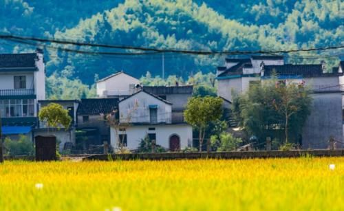 安徽一个1600年历史古村落，国家级5A景区，山川秀美人杰地灵！