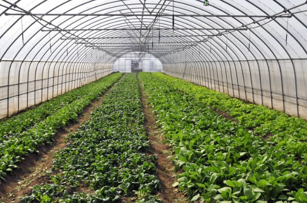  改革■事业单位改革进入倒计时：3类“铁饭碗”将消失，太遗憾了