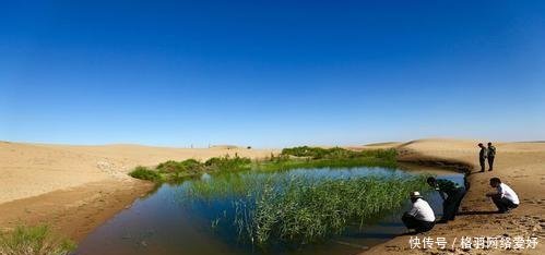 新疆荒漠为何突然出现千口泉眼专家道出真相，中国人心里难受了