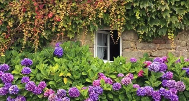 围观欧洲庭院，生活明朗，万物可爱