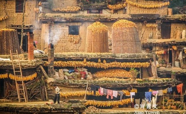 云南这个城子村百家相连，你家屋顶我家庭院，那是故乡的原风景