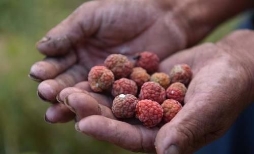  煤油灯■山东一户人家7代人隐居深山，如今仍在用煤油灯照明