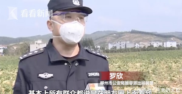 「 拔萝卜」种植户损失20万元，免费？他们听信谣言扎堆拔萝卜