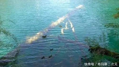  『各有千秋』传统和悬坠钓法各有千秋，优劣势互补才能更好的体验垂钓的乐趣
