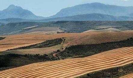 [情况]农村土地管理迎来新变化，2种情况要遭殃，轻则收费，重则