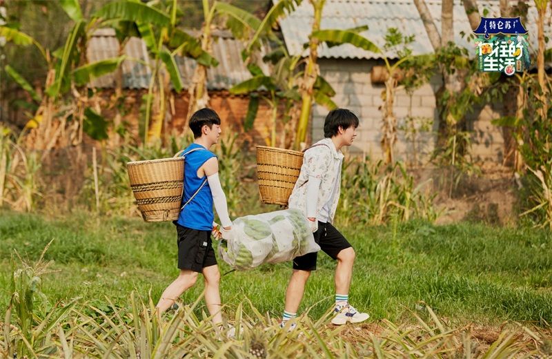  【轻松】《向往的生活》终极挑战被彭昱畅轻松解锁，嘉宾纷纷阻止