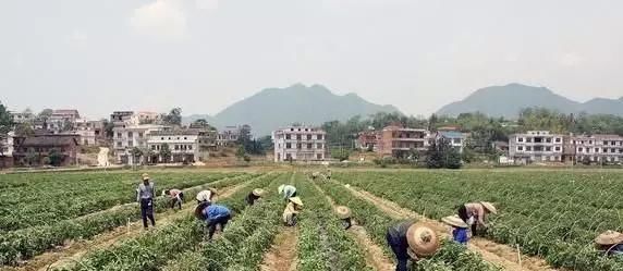  农户■五年后的农村最缺什么？