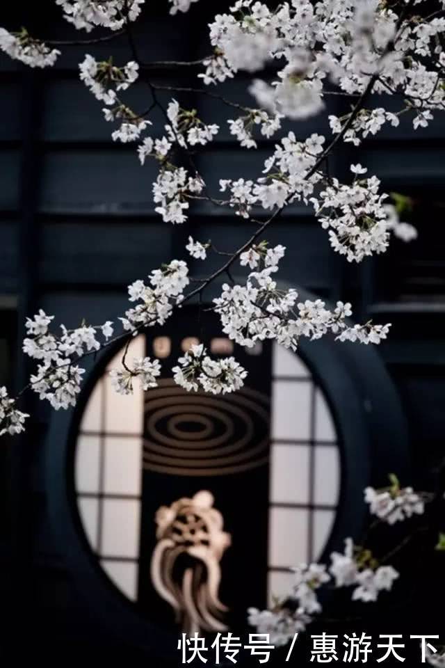 人间三月,桃红柳绿,杏花春雨,最美江南!