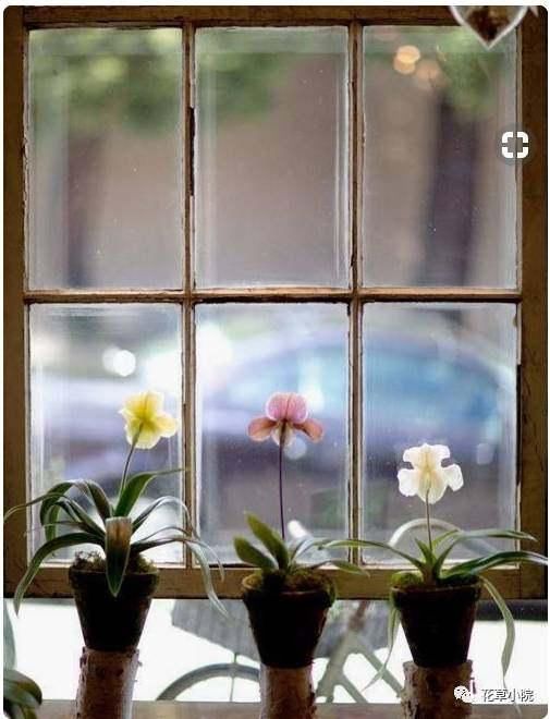 择一处小院，活一世风景！