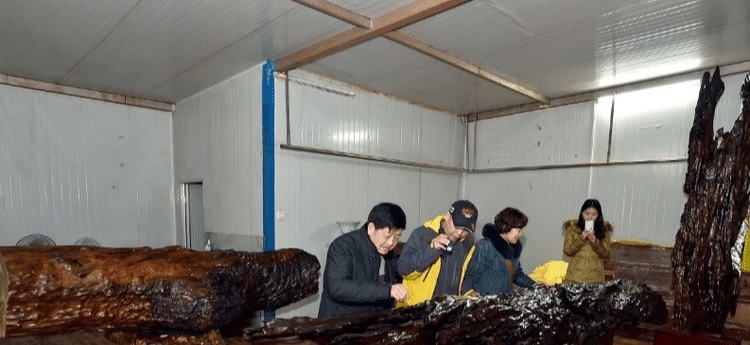 金丝楠木到底有多值钱？5幅图毫不隐瞒地告诉你答案