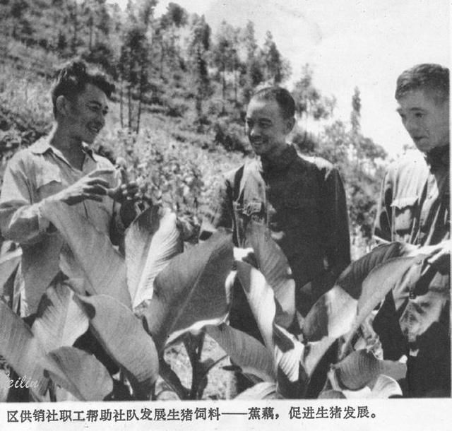 毛泽东时代《人民画报》，社会主义的建设者身影