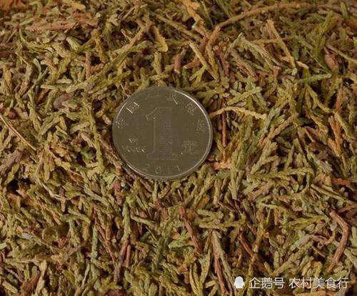 柏树叶煎水后洗头，白发变黑发，老辈人曾把它当“洗发水”