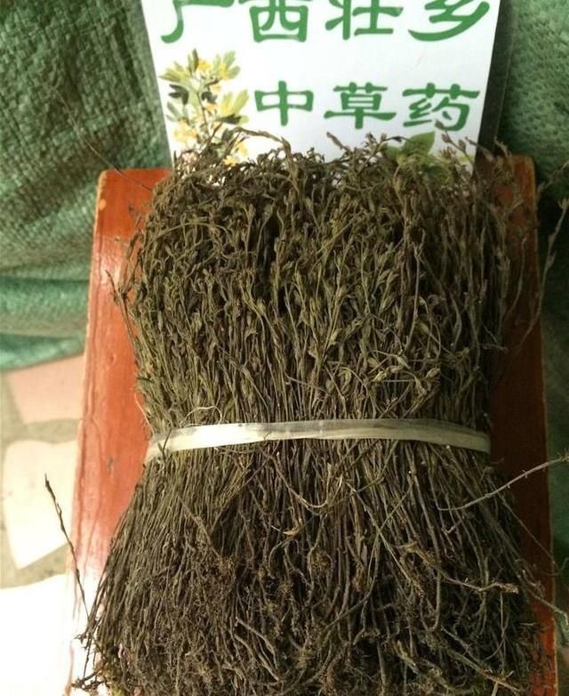  「植物」以前用来填肚子的野草，现在人们见了烦，其实是好东西，叫独脚金