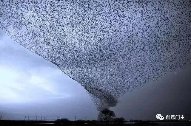 25张令人大开眼界的照片，估计你一张没见过！