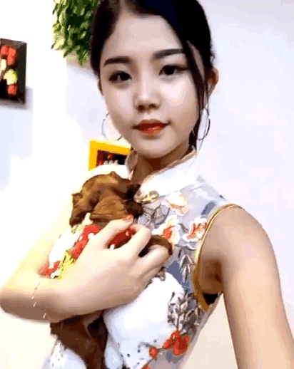 女子穿旗袍参加活动, 小狗趴着的位置亮了, 网友: 放开那个女孩