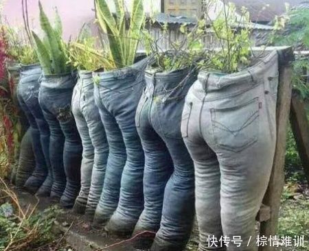 女子喜欢收集牛仔裤,在裤子里种花养草,第一次见被吓一跳