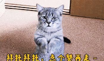 导游：在乌克兰住宿，晚上不要给女孩开门，男游客不听结果很尴尬