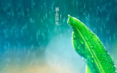 立秋补水，就选水光针！