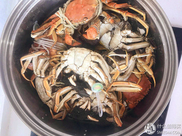 任你天花乱坠，简单一试，我就知道这大闸蟹值不值得吃!