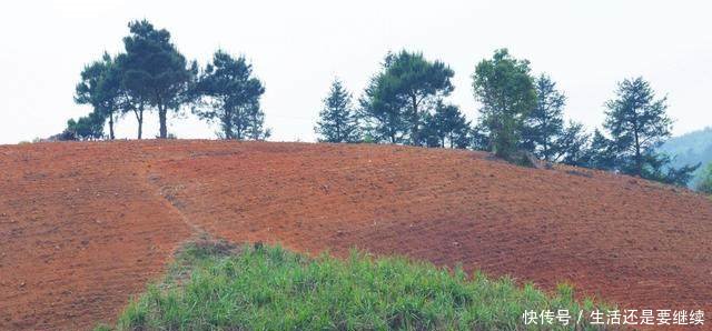 注意家有六十以上老人可享3项补贴，看完赶紧去领钱！