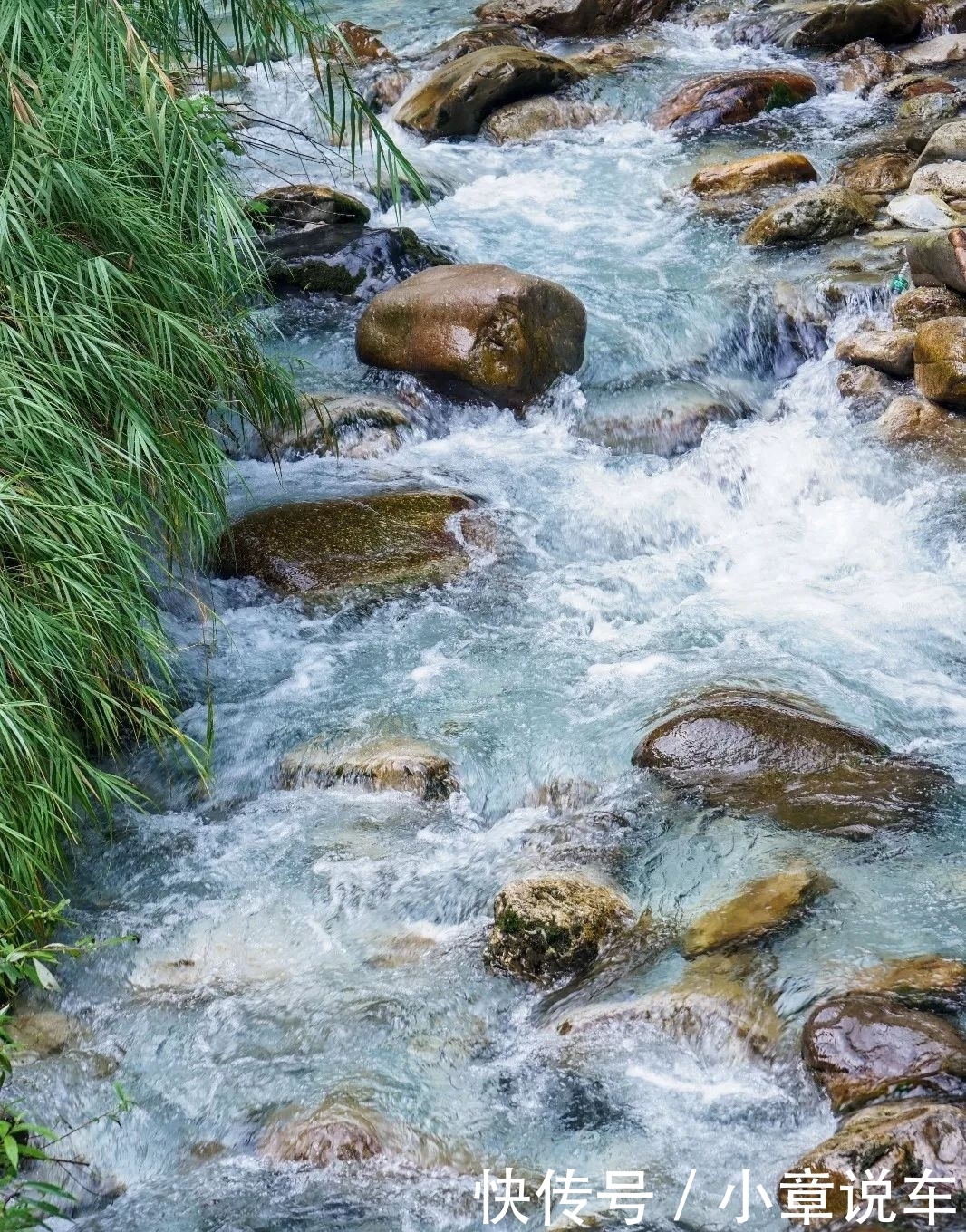峨眉山，被低估了的四川避暑王者！