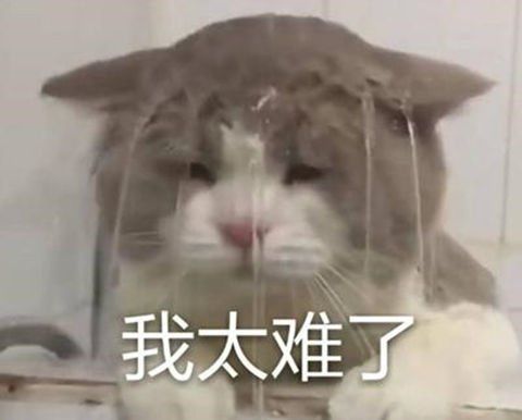  复制：暴雪最拼的一次？为了给最后一位英雄找牌面，生生累垮配音演员？