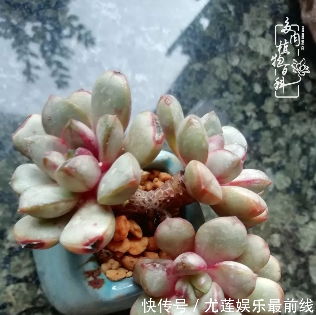 『那种』我爱的,就是你的存在!只要努力该来的都在路上!