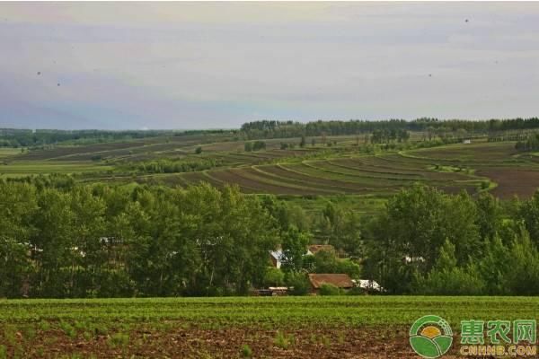 2019年还未确权的土地会被收回吗？没有土地确权证的怎么办？