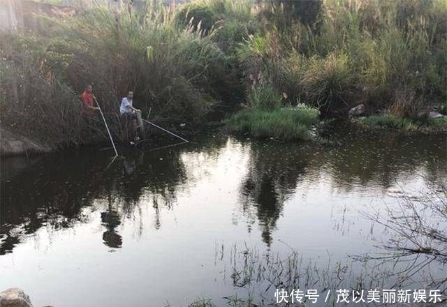  [斤左右]药鱼人干的好事，群鱼一夜之间全部翻白肚皮了！