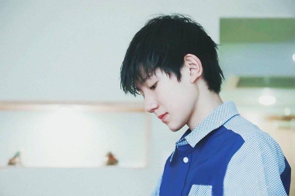 TFBOYS王源新综艺来袭,王鹤棣官鸿也将参与