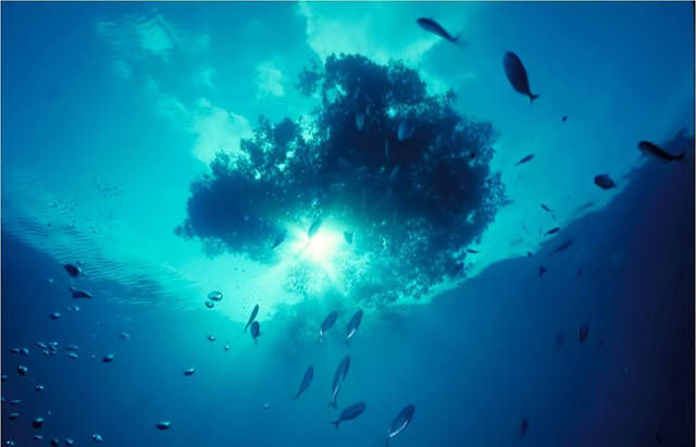 世界上最危险的水域，海水清澈无比!远远望去船只像漂浮在空中