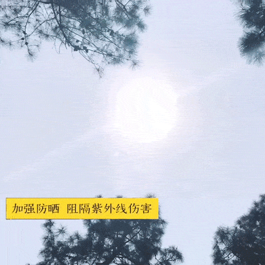  [用卡片伞]iPhone尺寸晴雨双用“掌中伞”~轻轻松松入包带上！