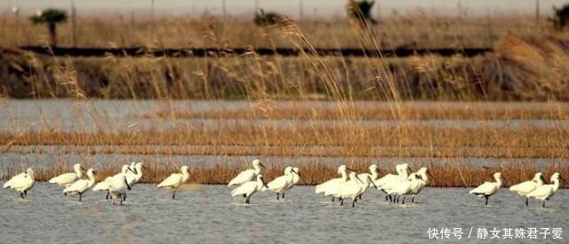 国内不断扩大的岛屿,每年扩大5平方公里,或将成为中国最大岛!